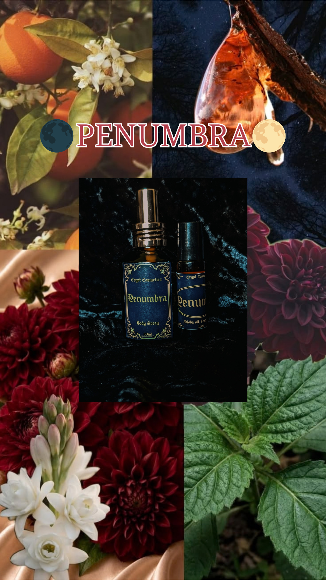 Penumbra - October fragrance bundle 3